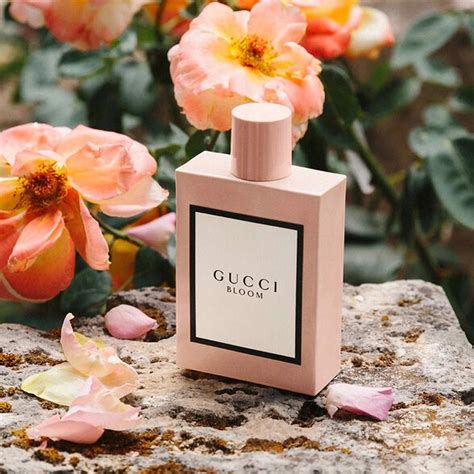 gucci bloom vietnam|hoa Gucci hoa hồng.